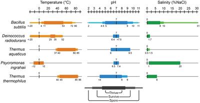 Polyextremophile engineering: a review of organisms that push the limits of life